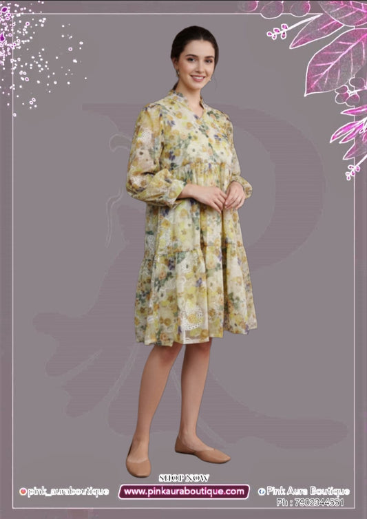 Ladies western wear - Gowns Printed Embroidery